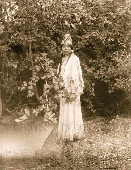 A fair maiden 1905