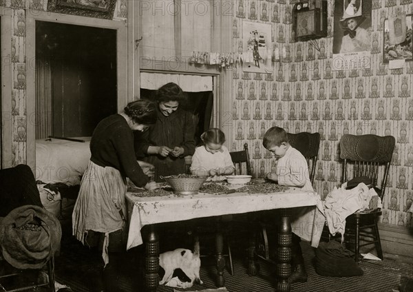 Italian Family picks nuts in their tenement apartment 1911