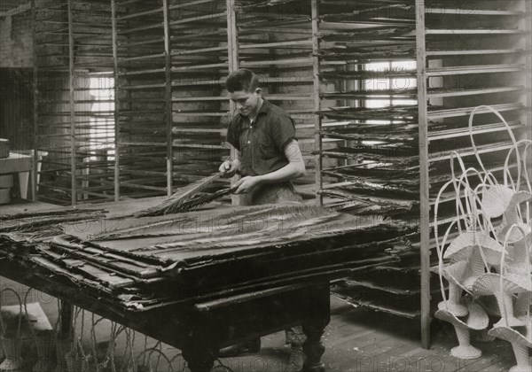 Sorting cycas leaves, Boston Floral Supply Co. 1917
