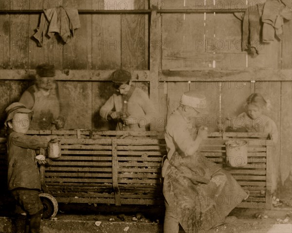 A 7-year old girl who shucks 3 pots of oysters a day. 1908