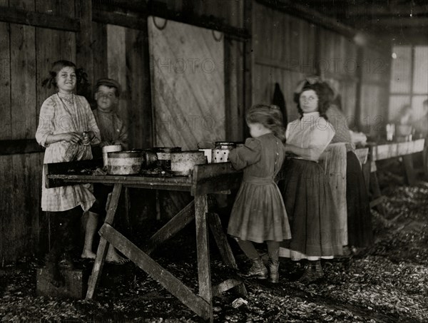 A group of shrimp pickers in Peerless Oyster Co., 1911