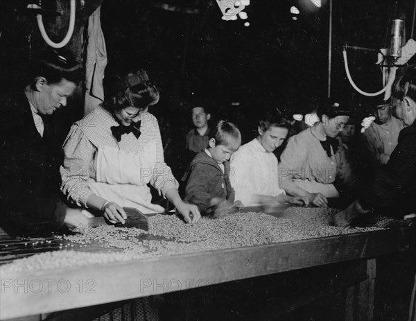A group sorting peas at the table in Ross's Cannery, Seaford, Del. The little fellow in the photo is a full fledged sorter. He is 5 years of age. Many such children work steadily in the Cannery, and some of them work at the machines.  1911