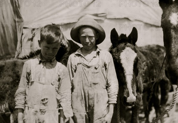 A pair of truants, tending their father's mules. 1917