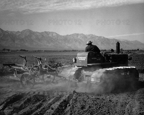 Benji Iguchi driving tractor in field 1943