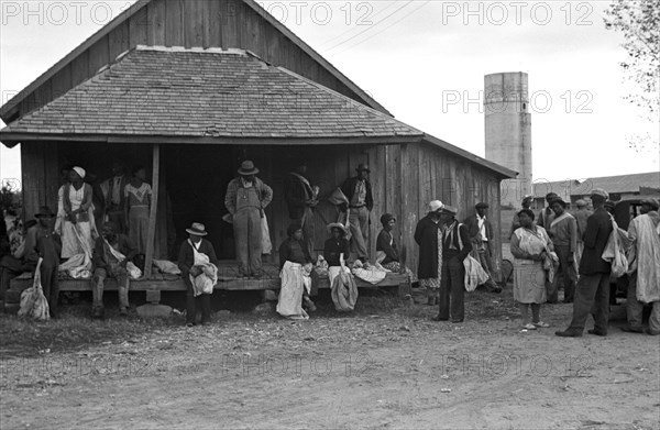 African American Cotton Pickers 1935