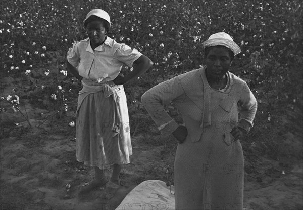 African American Sharecroppers 1935