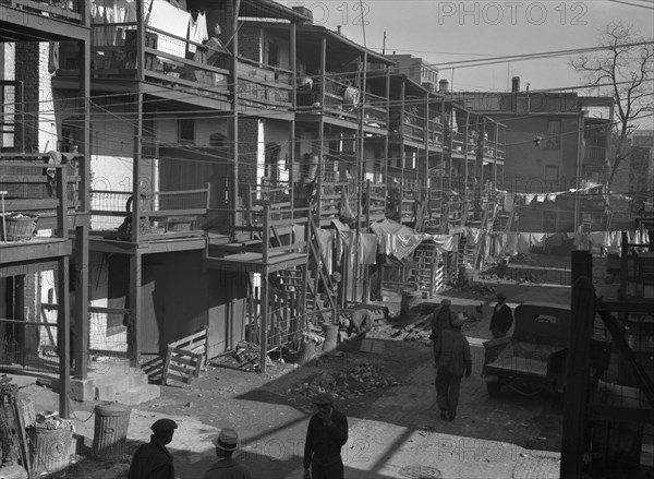 African American Slums. Washington, D.C.
1935