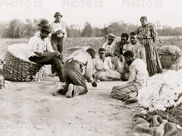 African Americans resting and shooting dice at edge of cotton field 1900