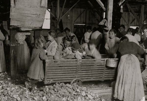 Oyster-shuckers in Barataria Canning Company. 1911
