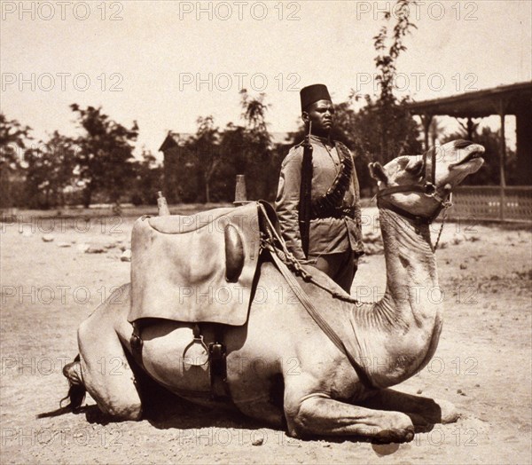 Anglo-Egyptian Sudan - camel soldier of the native forces of the British army 1915