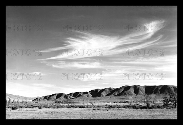 Landscape at Manzanar 1943