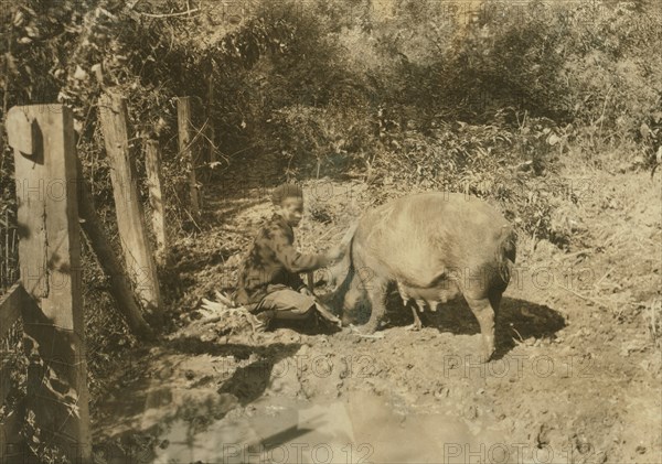 Boy & his Pig 1921