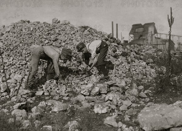 Boys cull "waste" from the zinc ore on the "dumps."  1908