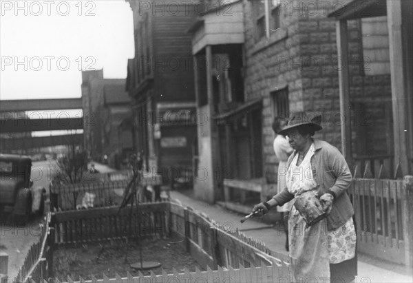 Black woman painting the fence on her "pavement garden," Black Belt, Chicago, Illinois 1941