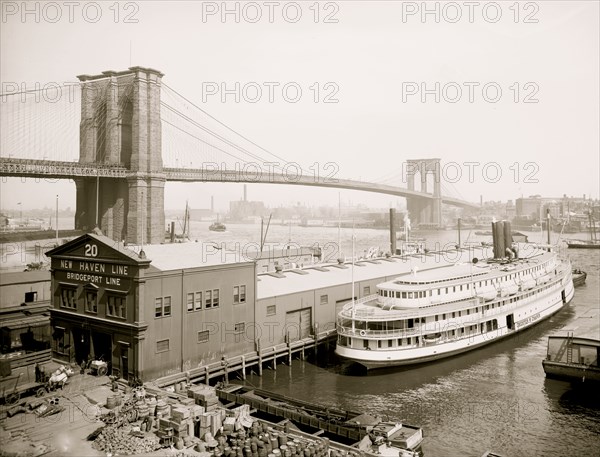 Brooklyn Bridge, New York 1906