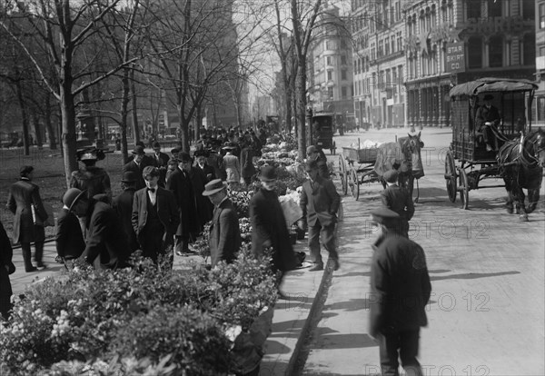 Buying Easter flowers in Union Square, New York