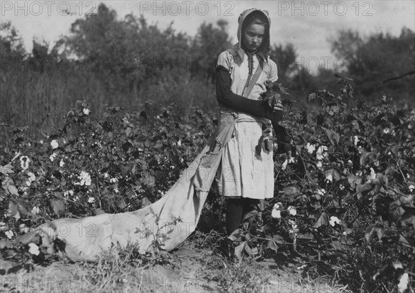 11 year old girl picks 75 to 125 pounds of cotton a day, and totes 50 pounds of it when sack gets full.  1916