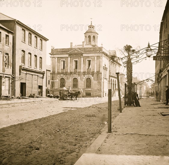 Charleston, South Carolina. Post office, East Bay Street, showing the only Palmetto tree in the city