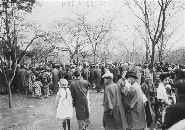 Cherry Blossom Crowds