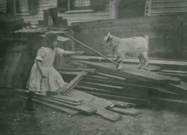 Child feeds a sheep at Back-yard, Spruce Street, Providence, R.I.  1912