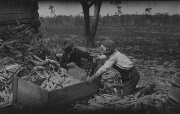 Children thrashing corn during school hours on a farm near Dublin. Many such light occupations fall to the lot of the Georgia child. 1915