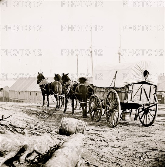 City Point, Virginia (vicinity). Four-mule army team and wagon 1865