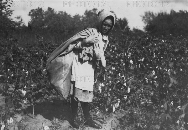 Cleo Campbell, 9 years old, picks 75 to 100 pounds of cotton a day.  1916