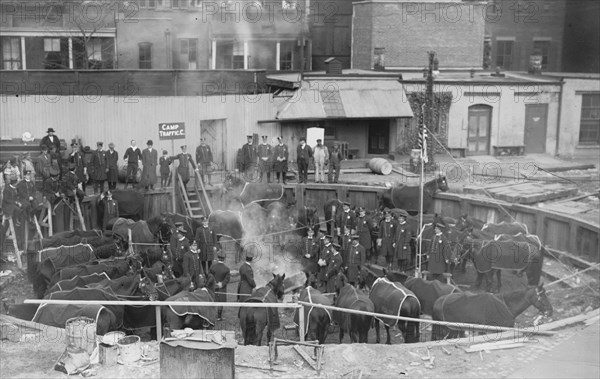 Corralled Police Horses in an Below Ground Pen prepare for strike & labor activity
