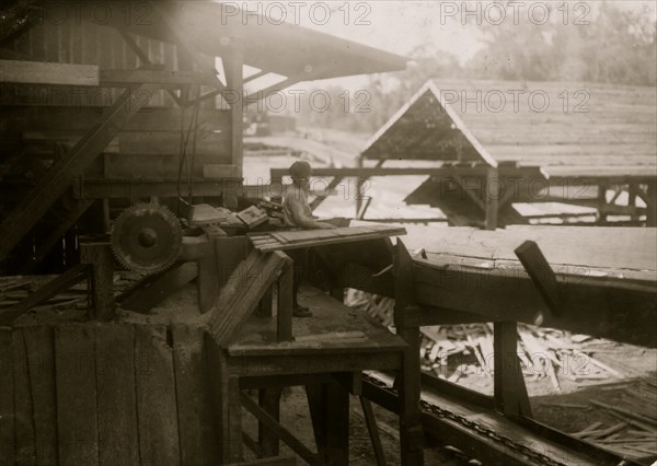 Working in a lumber mill and doing dangerous work 1914