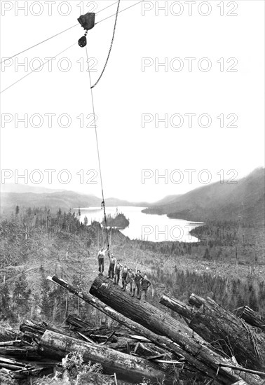 Logging Scene 1920