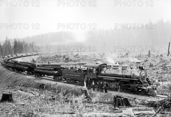 Feeding Frenzy 1920