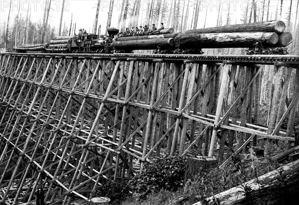 Bridge of Trees 1920