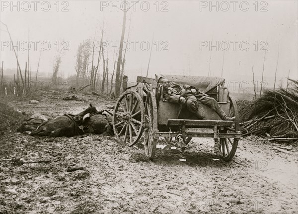 Dead German Artilleryman