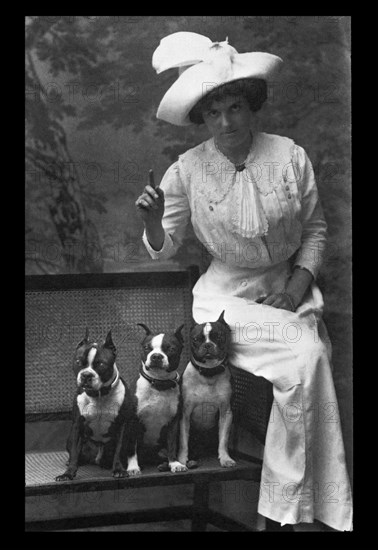 Mrs. Rhoades and Her Three Boston Terriers