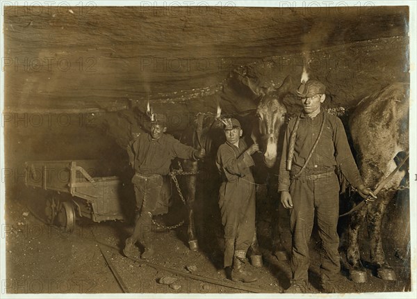 Drivers and Mules, Gary, W. Va.,  1908