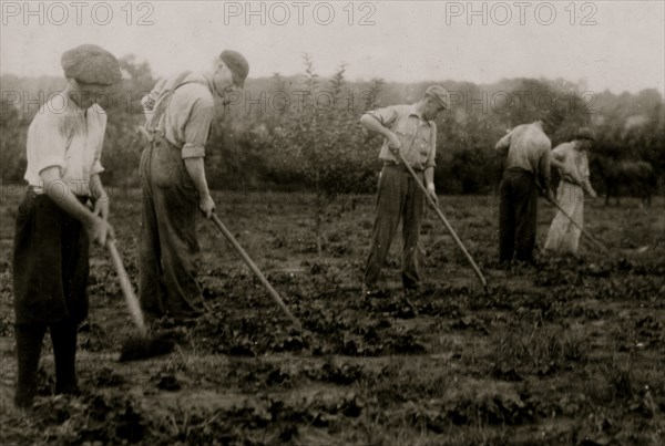 Farming when not delivery dairy Products 1916