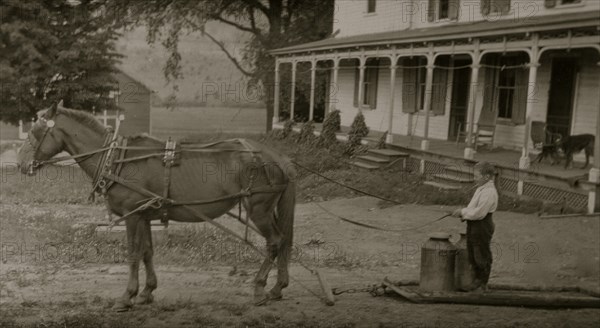 Eight-year old Jack carrying cans of milk on stone boat. This involves some heavy lifting 1915