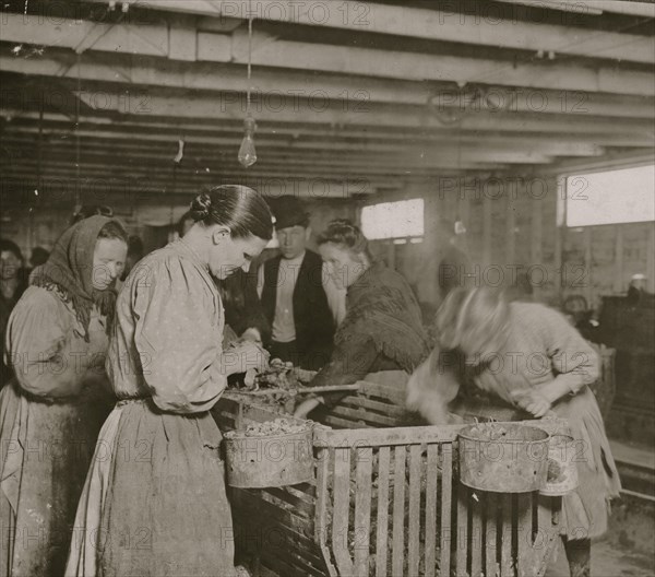 Eight-year-old Lizzie, earns 30 cents a day shucking oysters in the Dunbar Cannery. 1911