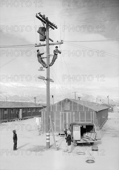 Line crew at work in Manzanar 1943