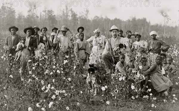 The cotton planter and his pickers 1908
