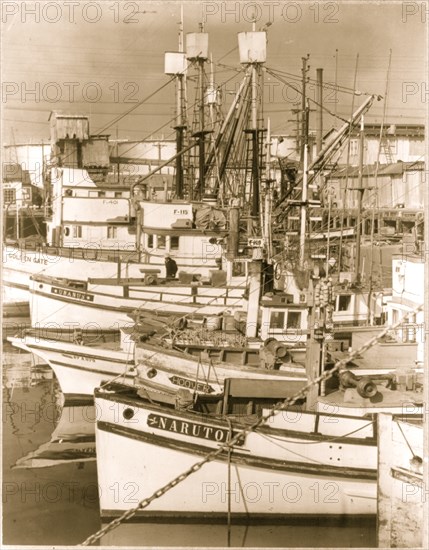 Fleet of  Japanese owned fishing boats tied up at Terminal Island 1942
