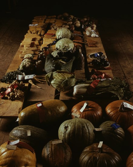 Exhibit of crops and vegetables at the Pie Town, New Mexico Fair. 1940