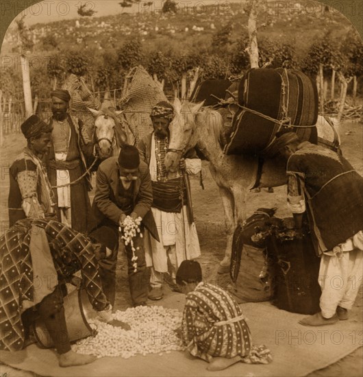 Purchasing Silk Works for Export 1913