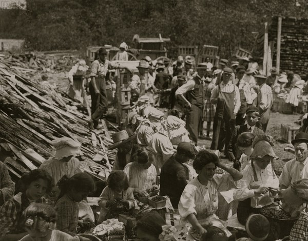 Family group hulling strawberries in the sun at Johnson's Hulling station, Seaford, Del. Note the child of about 5 years of age in the centre of the picture with sharp, long knife hulling berries. 1911