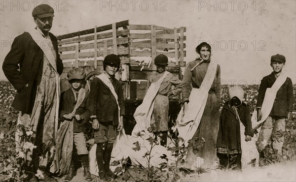 A Family of Cotton Pickers 1916