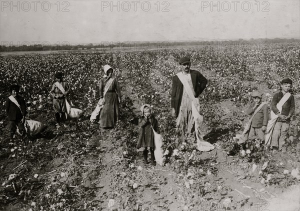 A Family of Cotton Pickers 1916