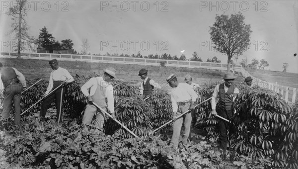 Field work, Tuskegee