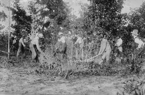 Field work, Tuskegee