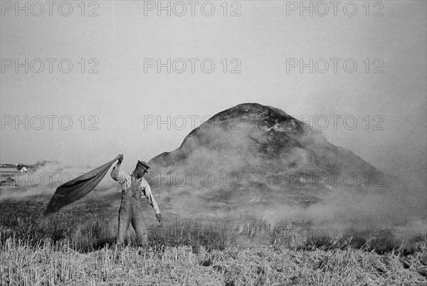 Fighting fire of rice straw stack in rice field near Crowley, Louisiana 1938