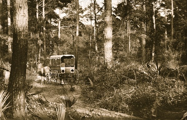 Folly Island, South Carolina 1863
